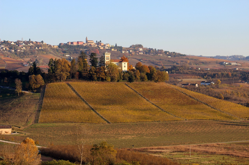 barolo král vín