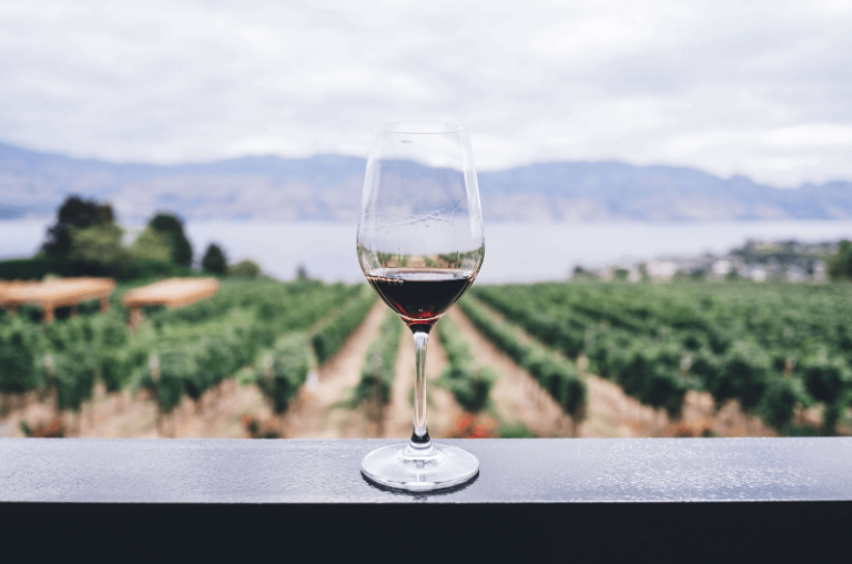 sklenka červeného vína s pozadím vinice