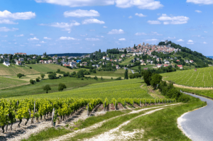 Sancerre in France