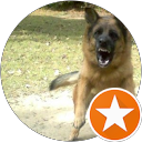 Shawn Murace Shawn Murace